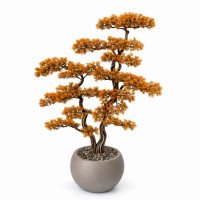 Bonsai Ağacı-9